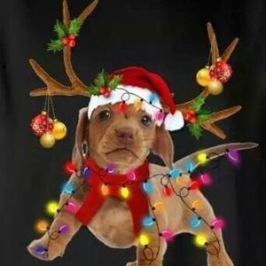 Meet your Posher, Joy